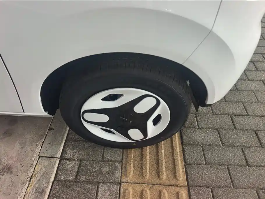 Geely Galaxy panda