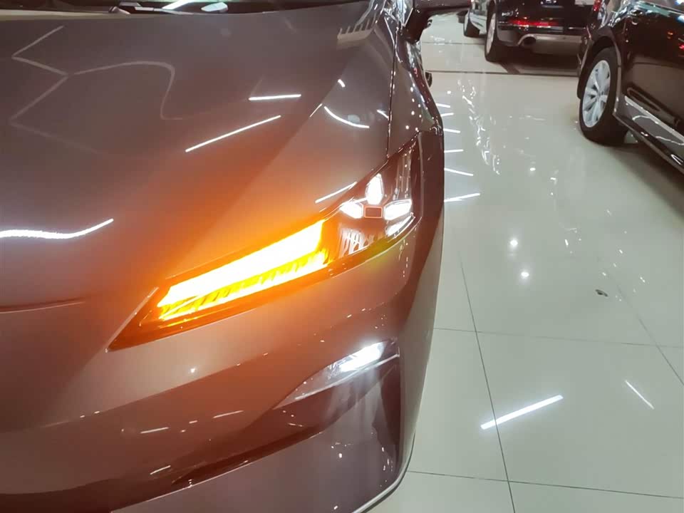 DEEPAL Dark blue SL03