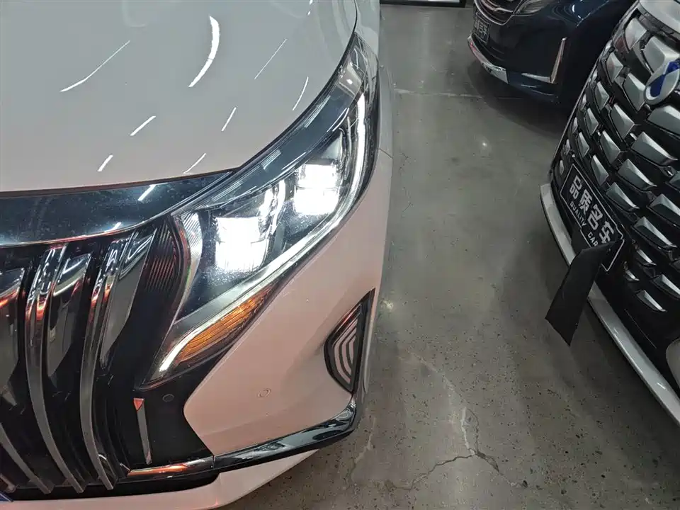 Trumpchi Trumpchi M8