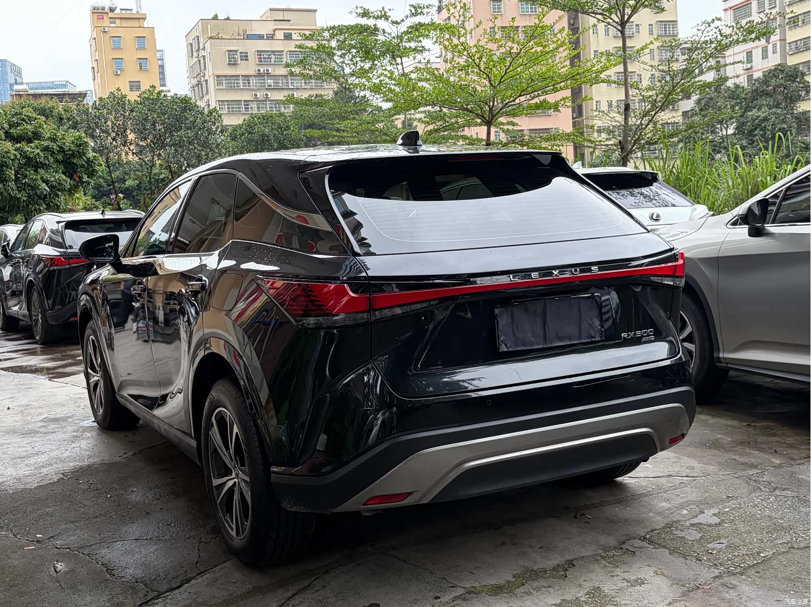 Lexus RX, 2024 8
