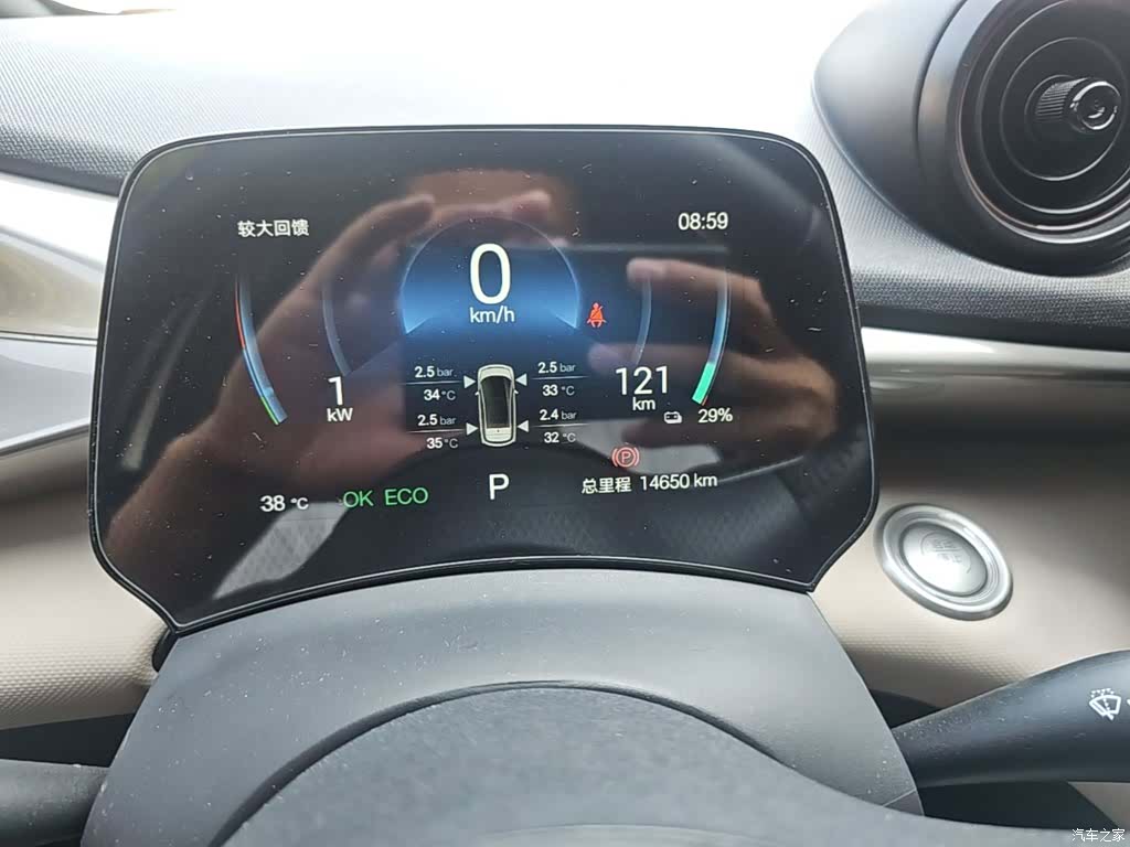 BYD Dolphin, 2025 12