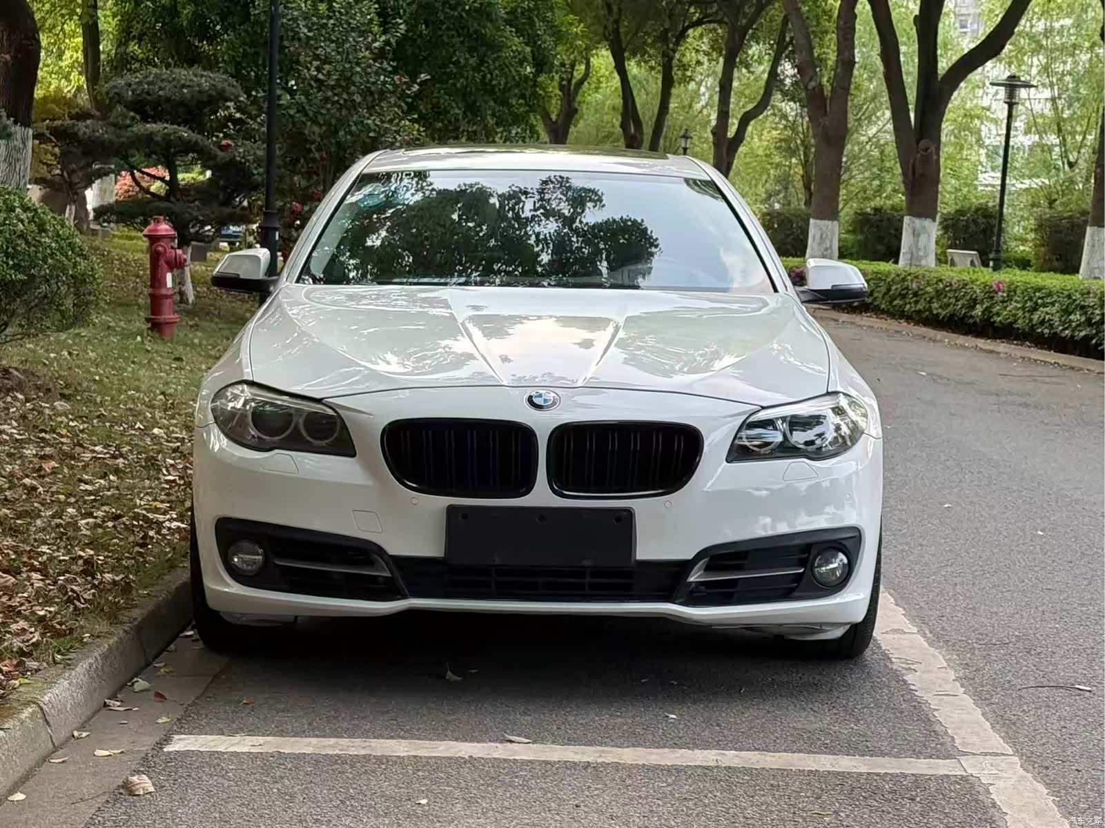 BMW 5 Series, 2015 2