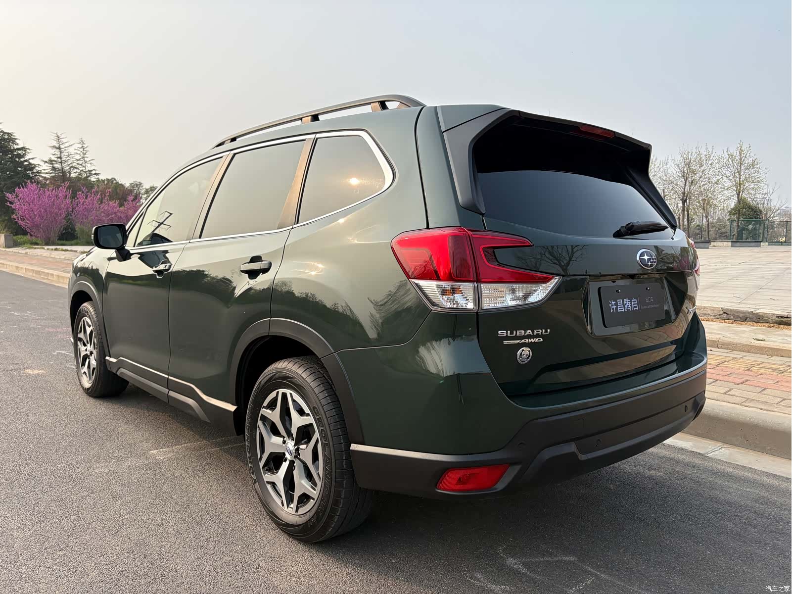 Subaru Forester, 2023 все фото