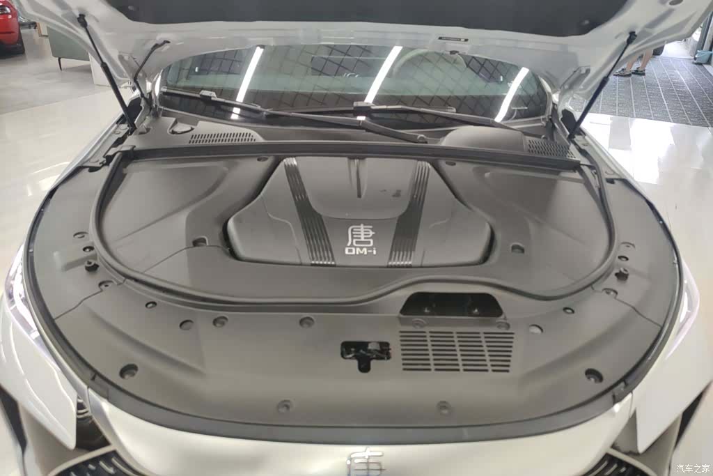 BYD Tang, 2024 10
