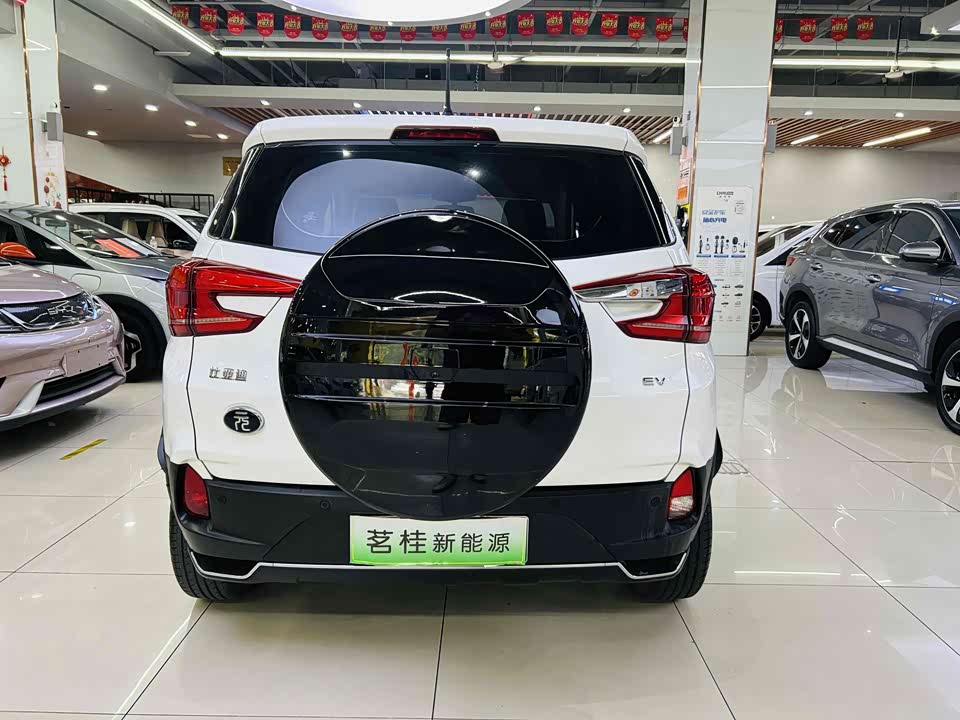 BYD Yuanxin Energy