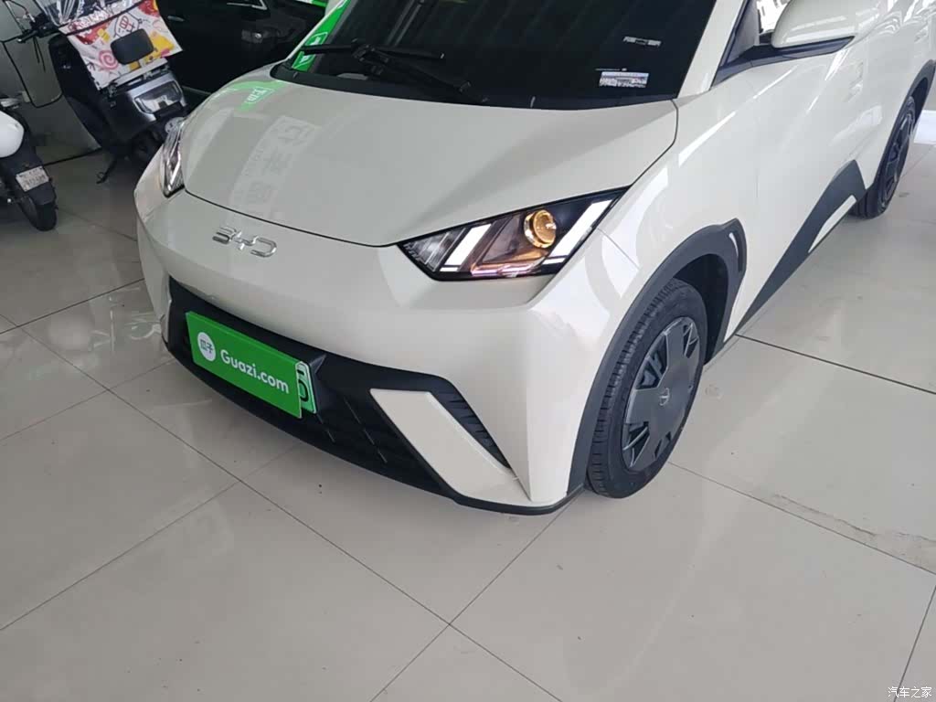 BYD Seagull, 2024 23
