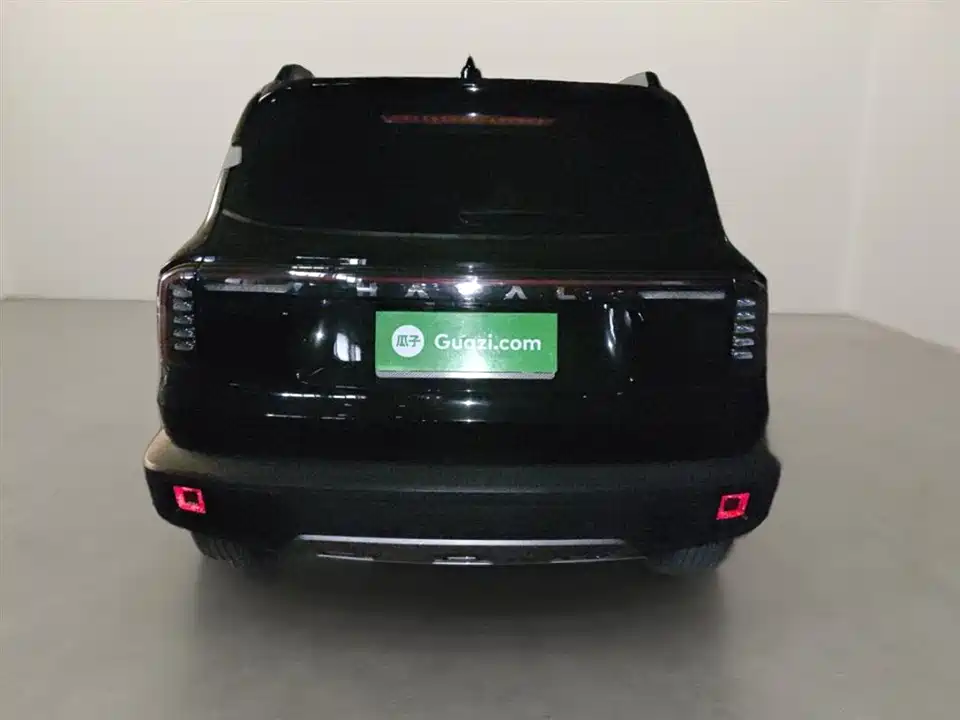 Haval Big dog