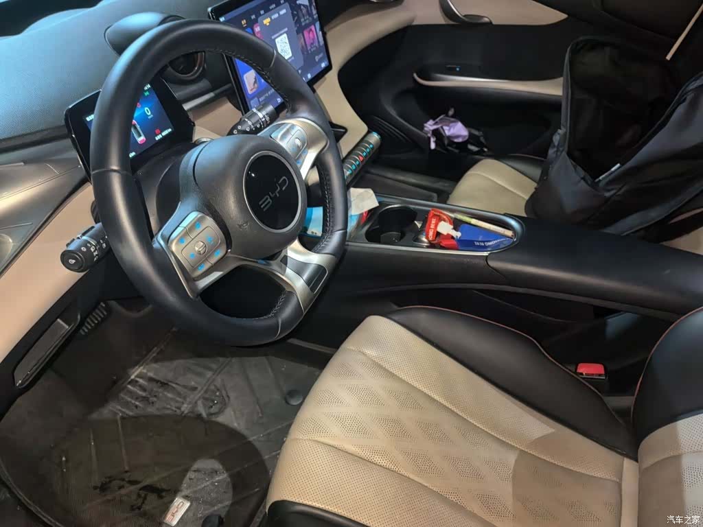 BYD Dolphin, 2024 14