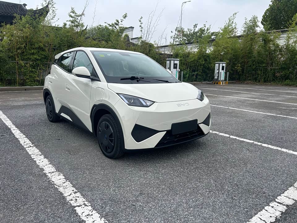 BYD Seagull
