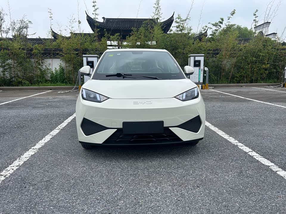 BYD Seagull