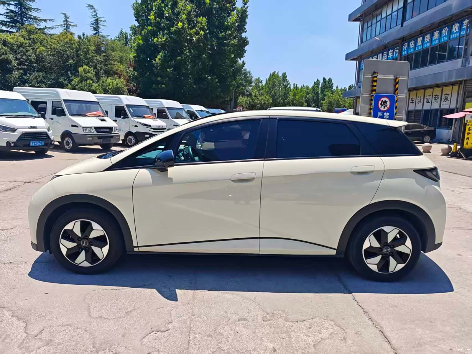 BYD Dolphin, 2024 3