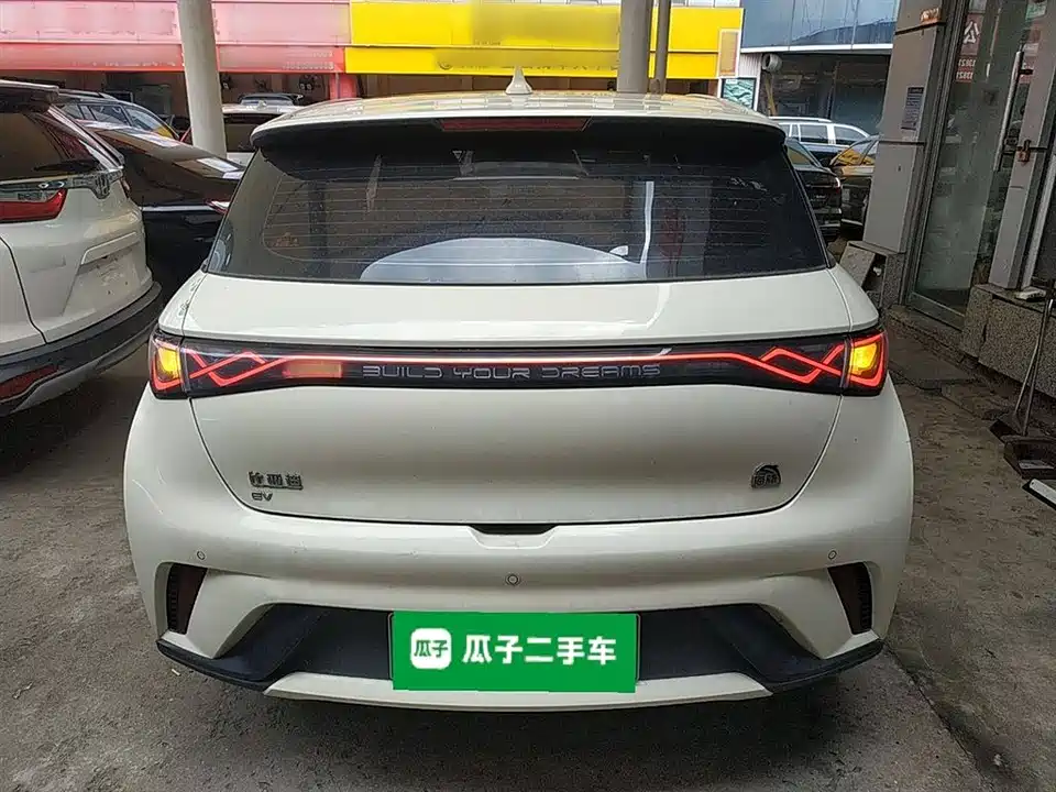 BYD dolphin