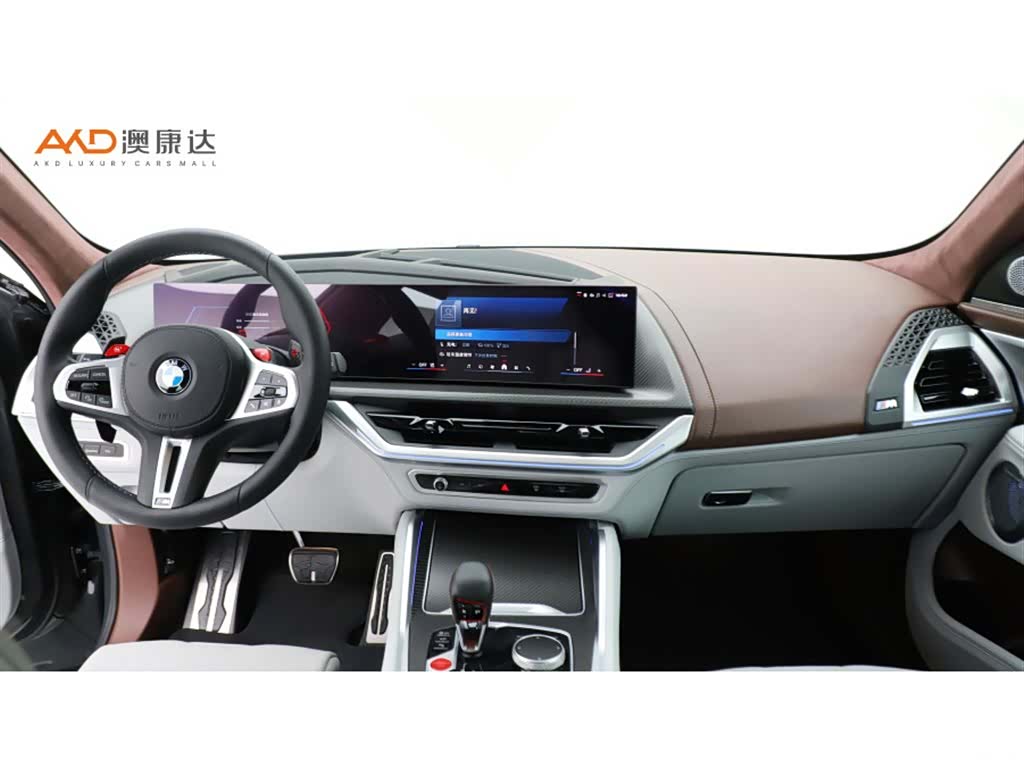 BMW XM, 2025 все фото