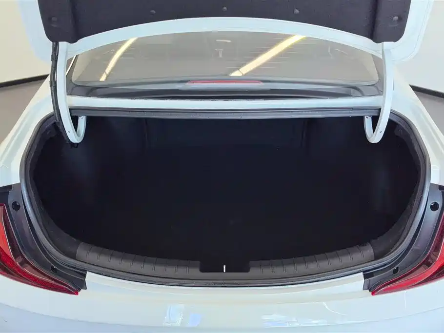 Hyundai Name picture