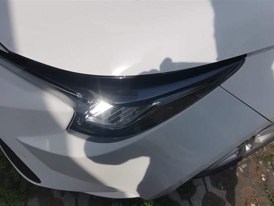 Toyota Lei Ling