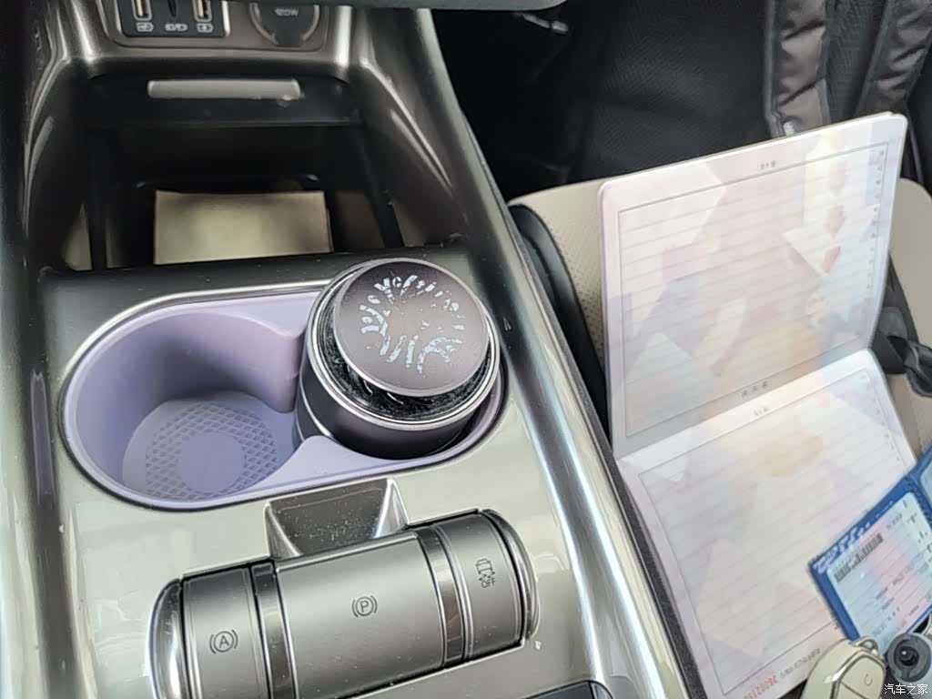 BYD Dolphin, 2024 14