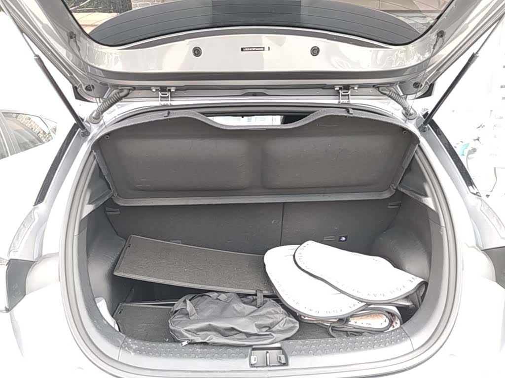 BYD Dolphin, 2024 19