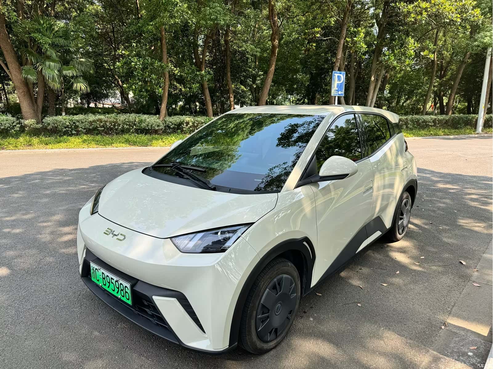 BYD Seagull, 2024 1