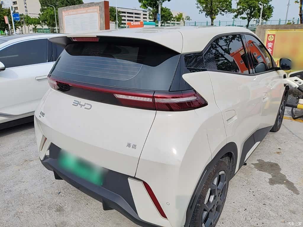 BYD Seagull, 2025 7