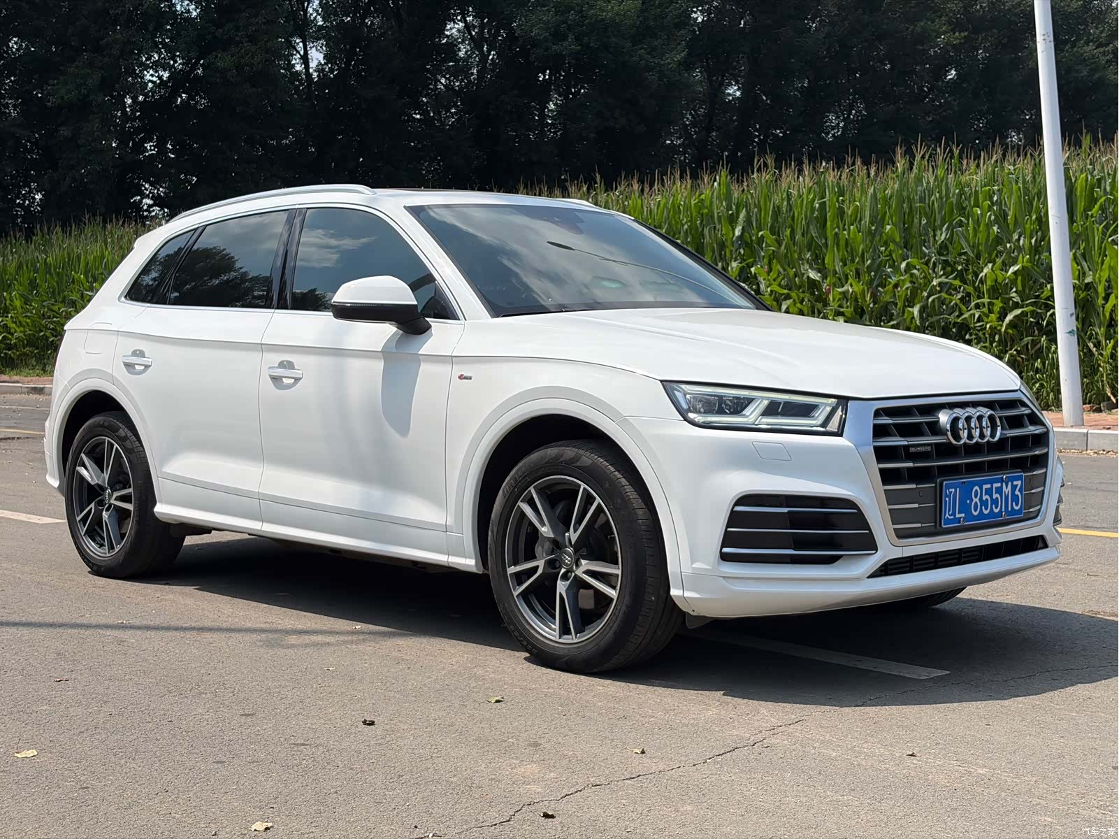 Audi Q5L, 2020 3