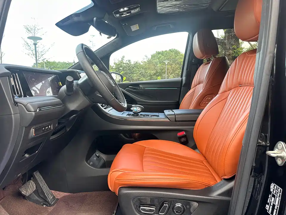 Trumpchi Trumpchi E9