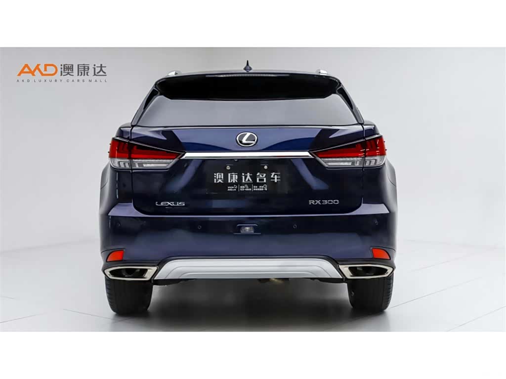 Lexus RX, 2021 4