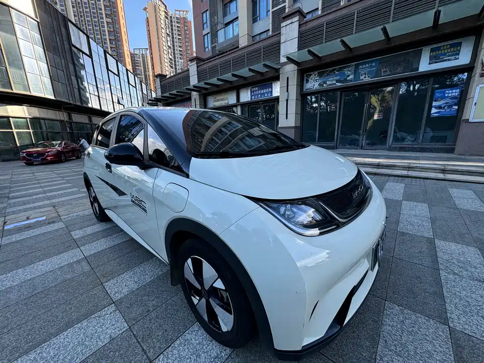 BYD dolphin