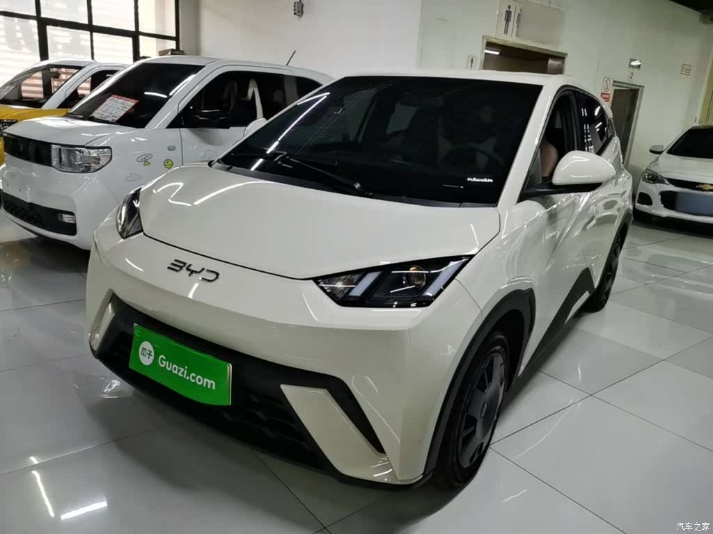 BYD Seagull, 2024 1