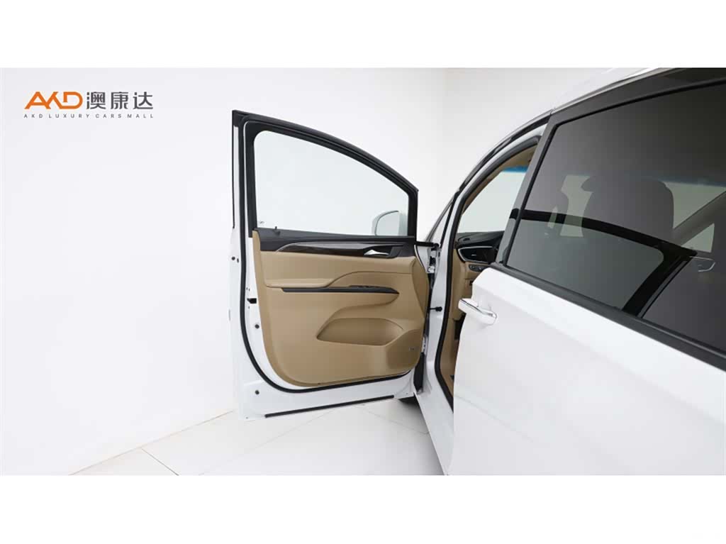 Buick GL8, 2020 11