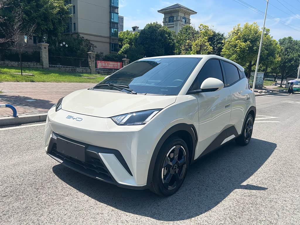 BYD Seagull