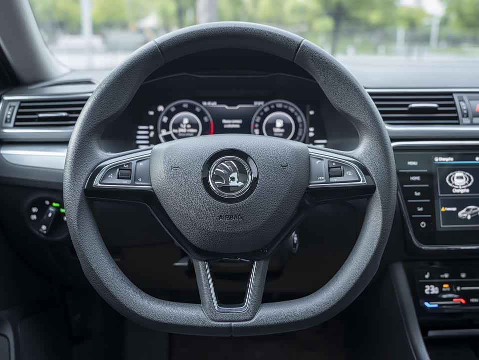 Skoda Speed pie Skoda Speed pie