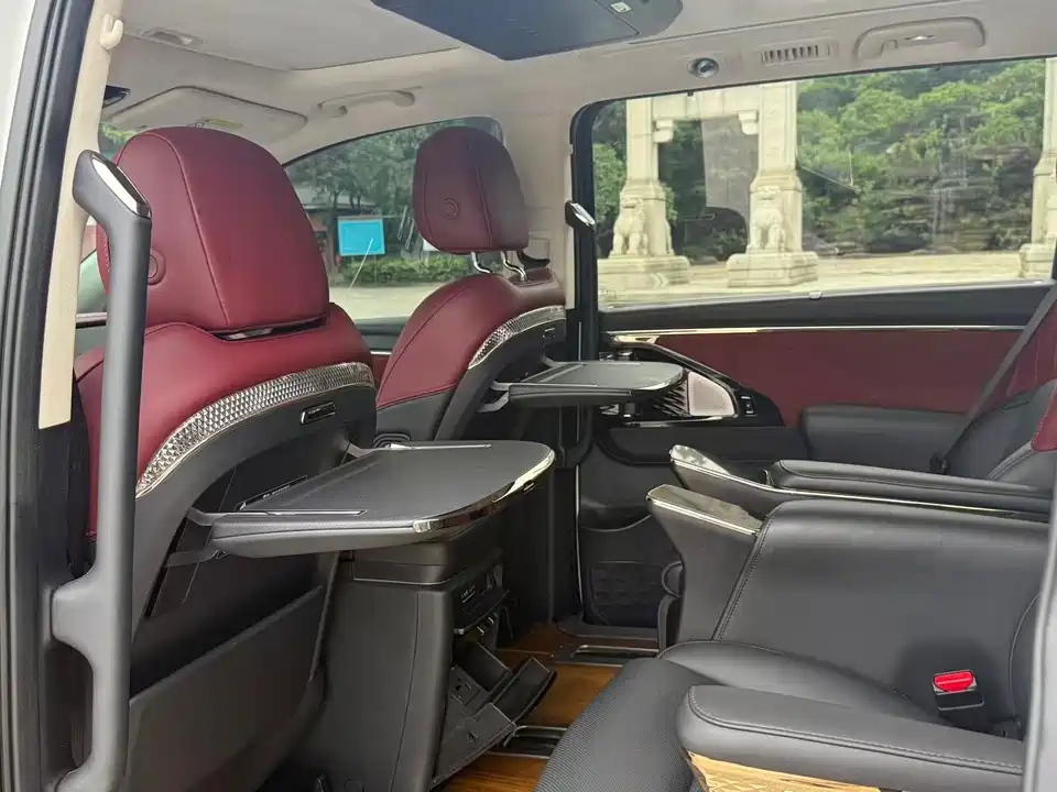 Trumpchi Trumpchi E9