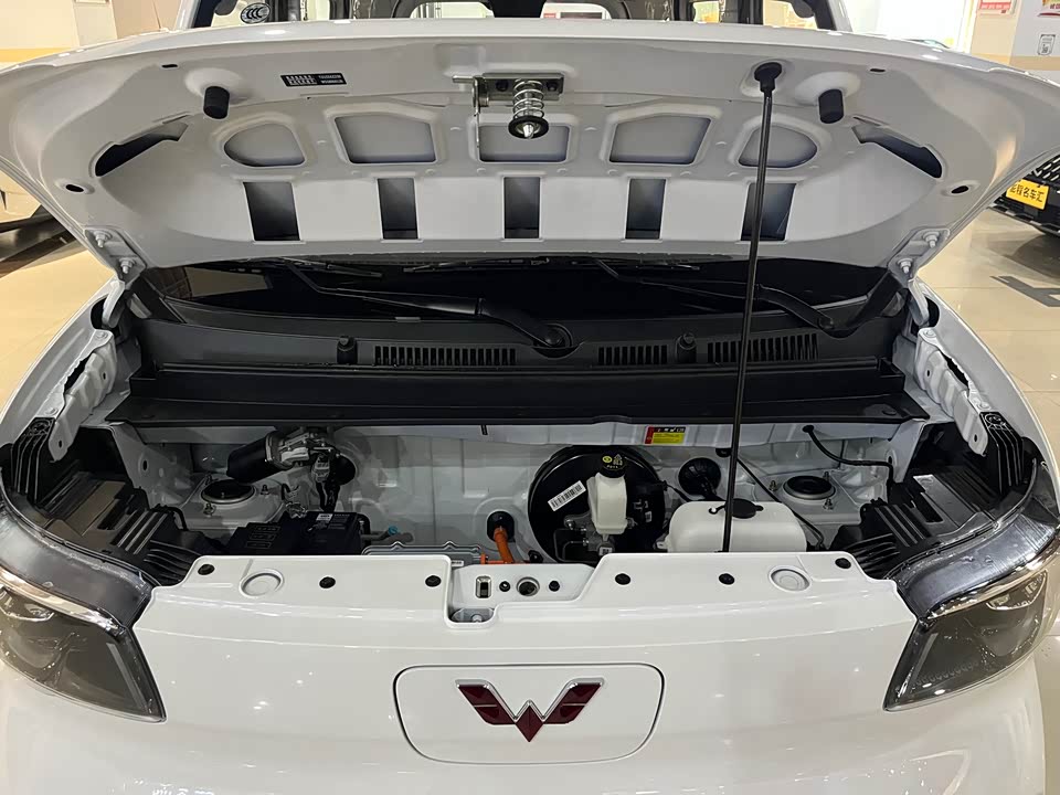 Wuling Wuling Zhiguang