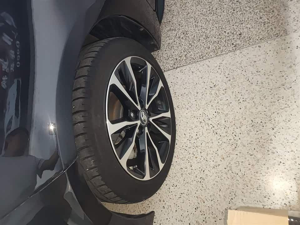 Toyota Lei Ling Toyota Lei Ling