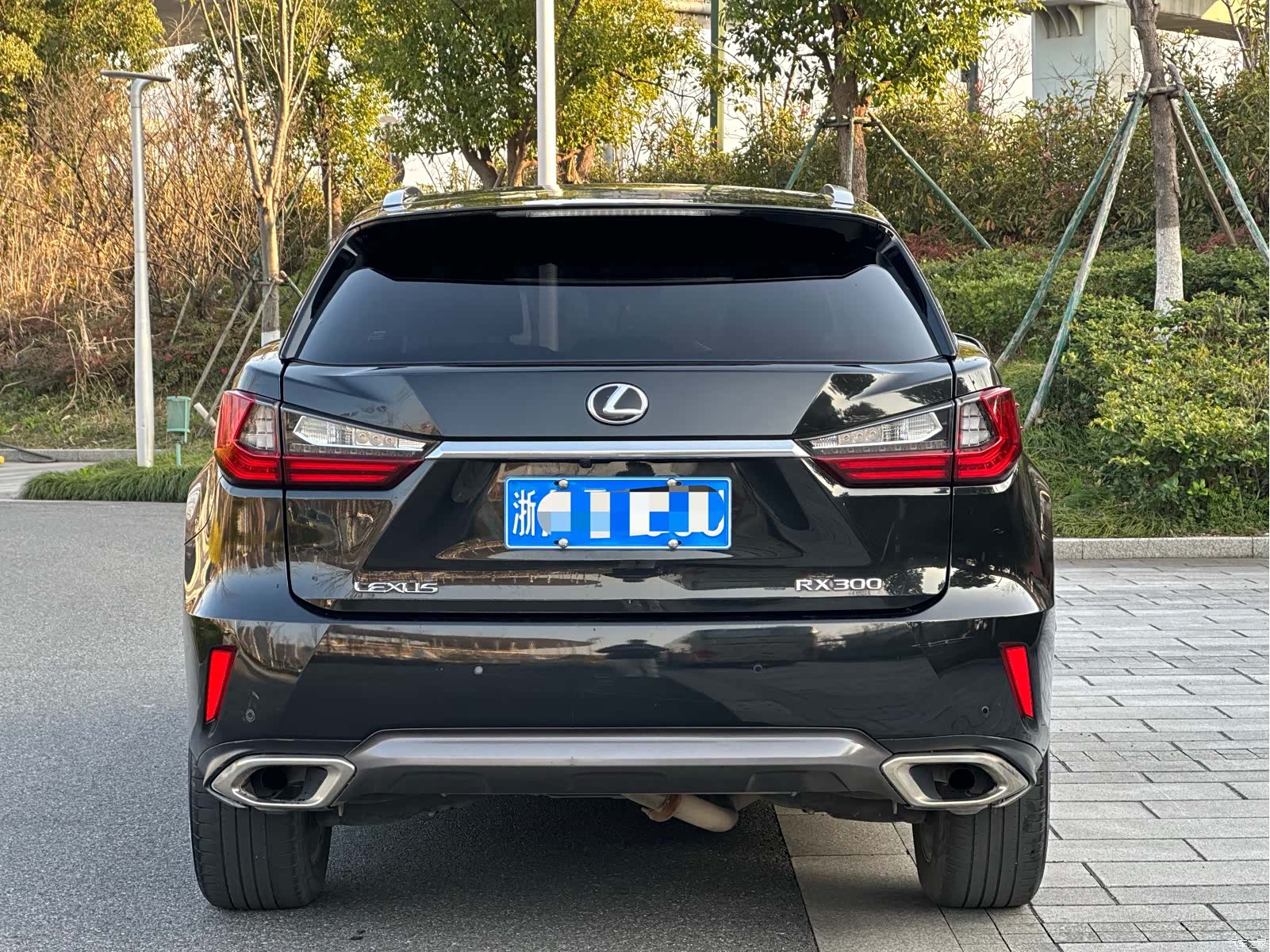 Lexus RX, 2018 все фото