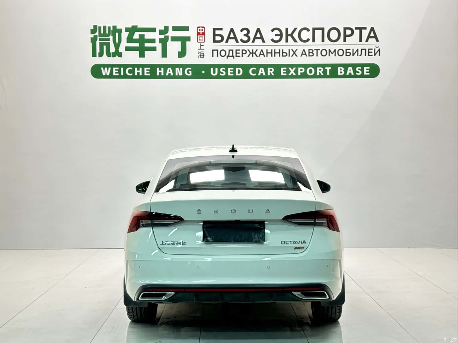 Skoda Octavia, 2022 все фото
