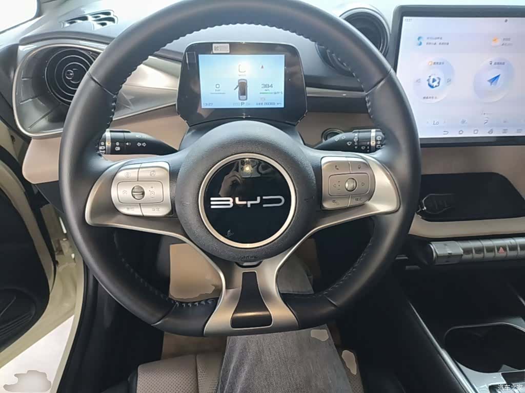BYD Dolphin, 2023 11