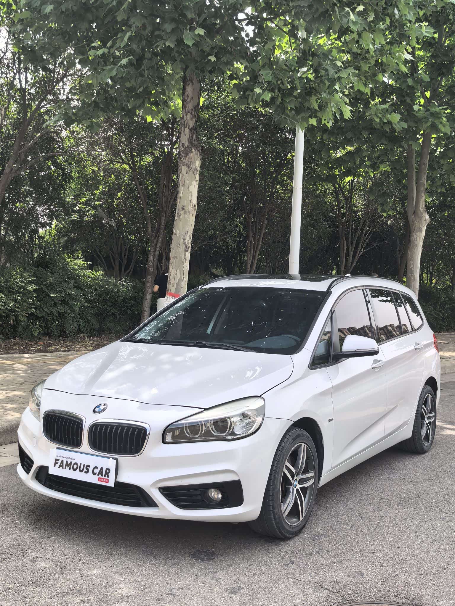 BMW 2 Series, 2016 1