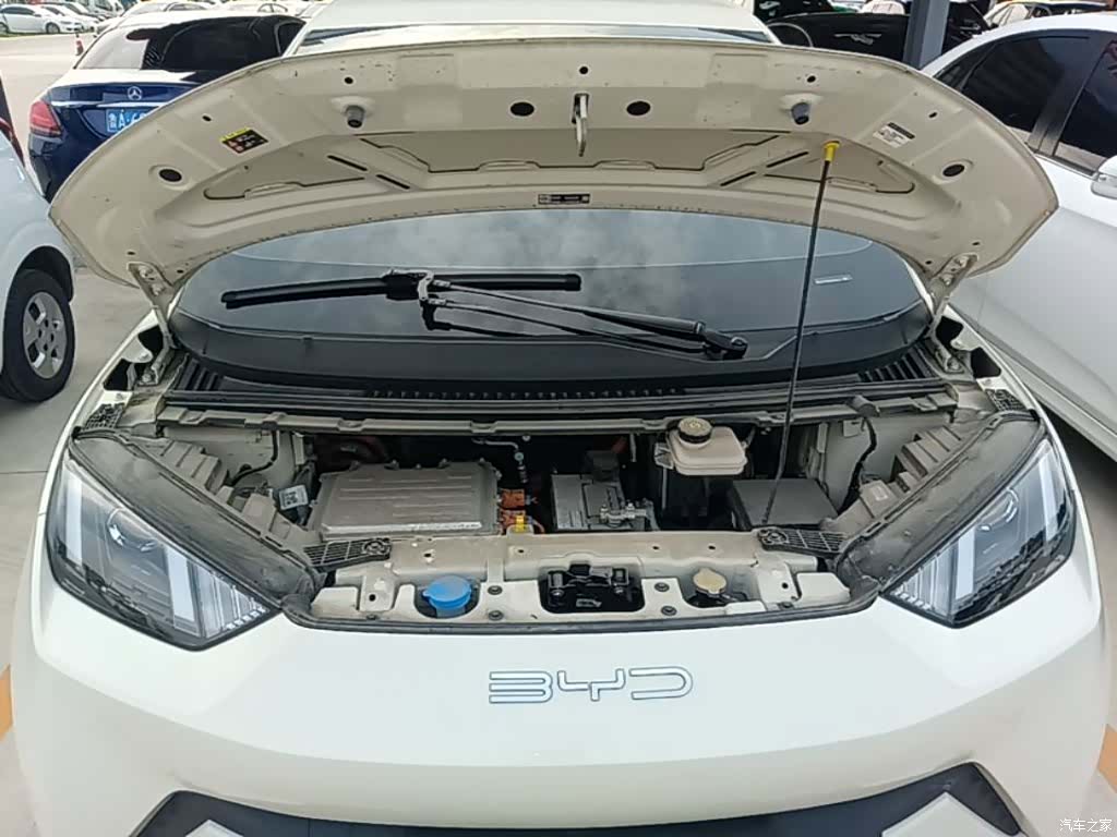 BYD Seagull, 2024 20