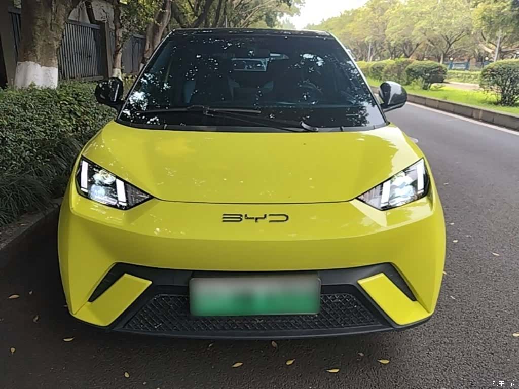 BYD Seagull, 2023 3