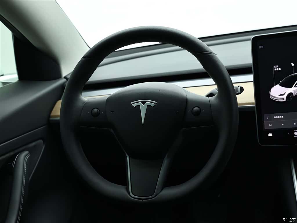 Tesla Model 3, 2021 15