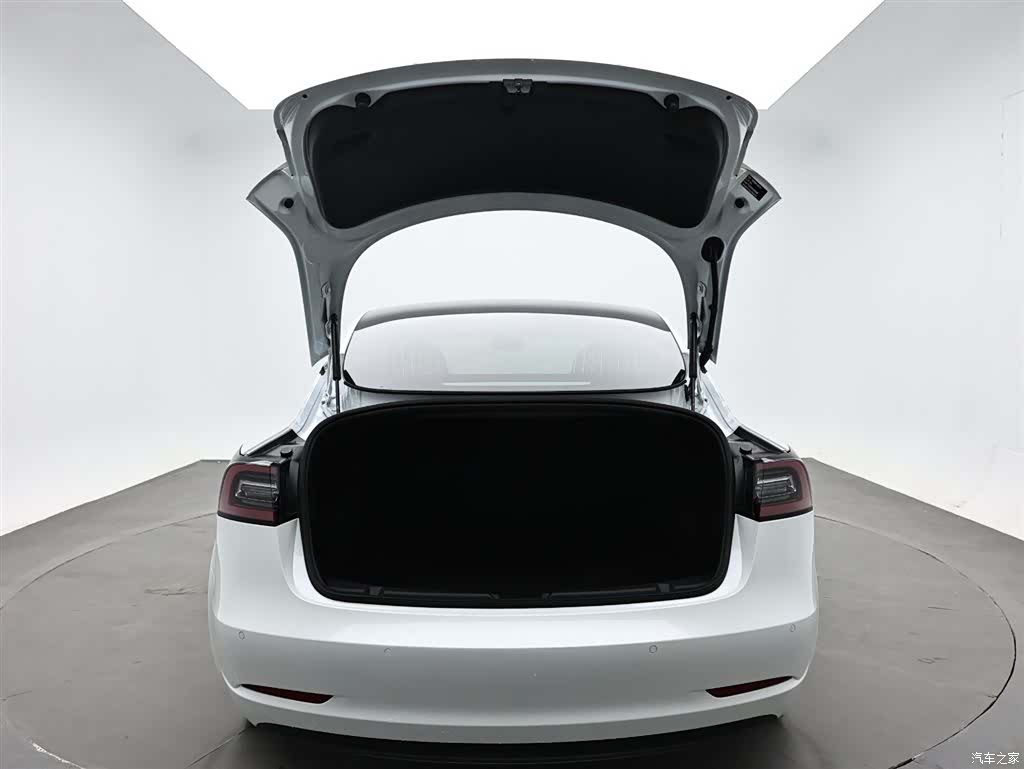 Tesla Model 3, 2021 10