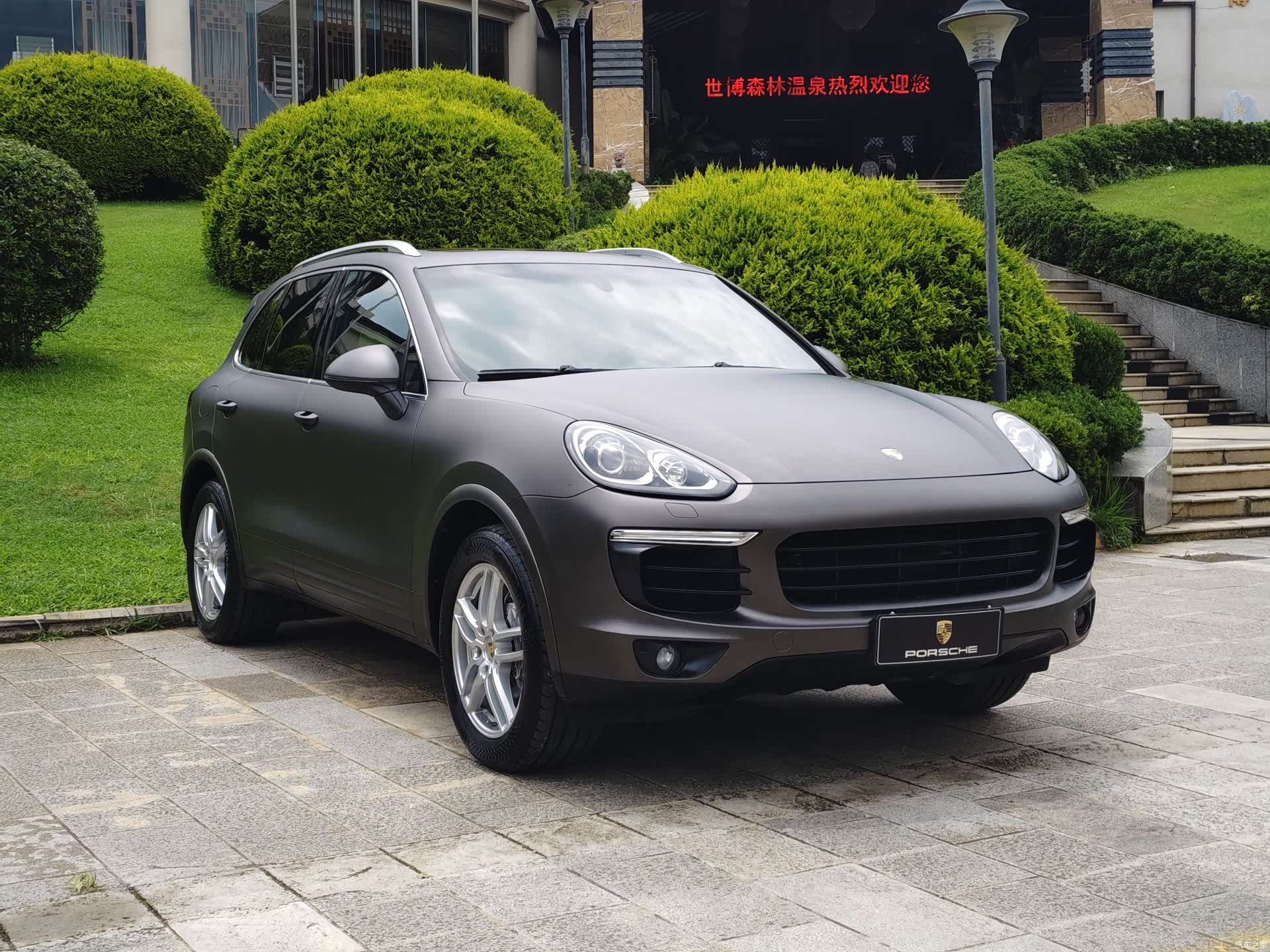 Cayenne Platinum, 2017 24