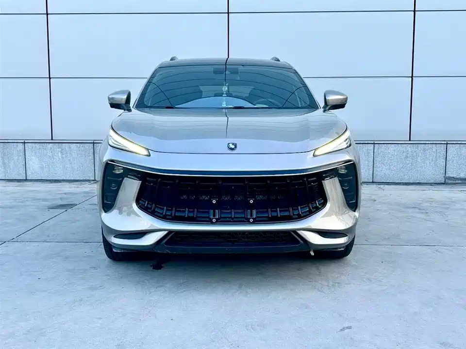 Forthing Popular T5 EVO