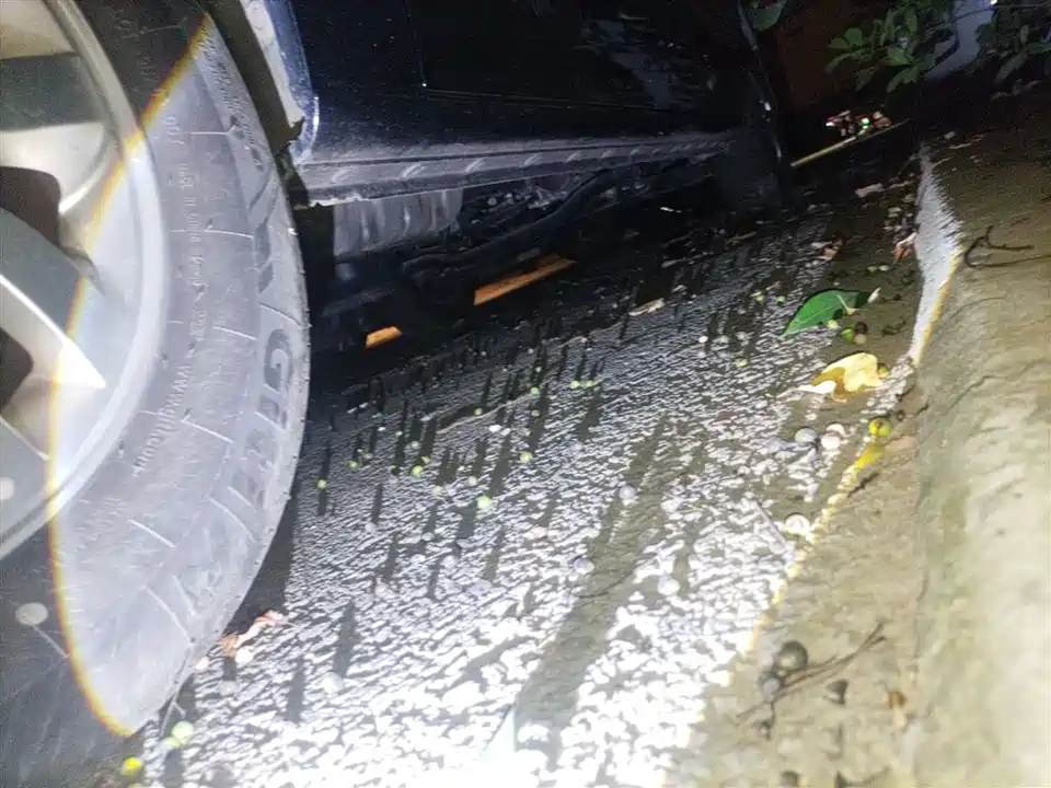 JAC Refine Ruifeng M4