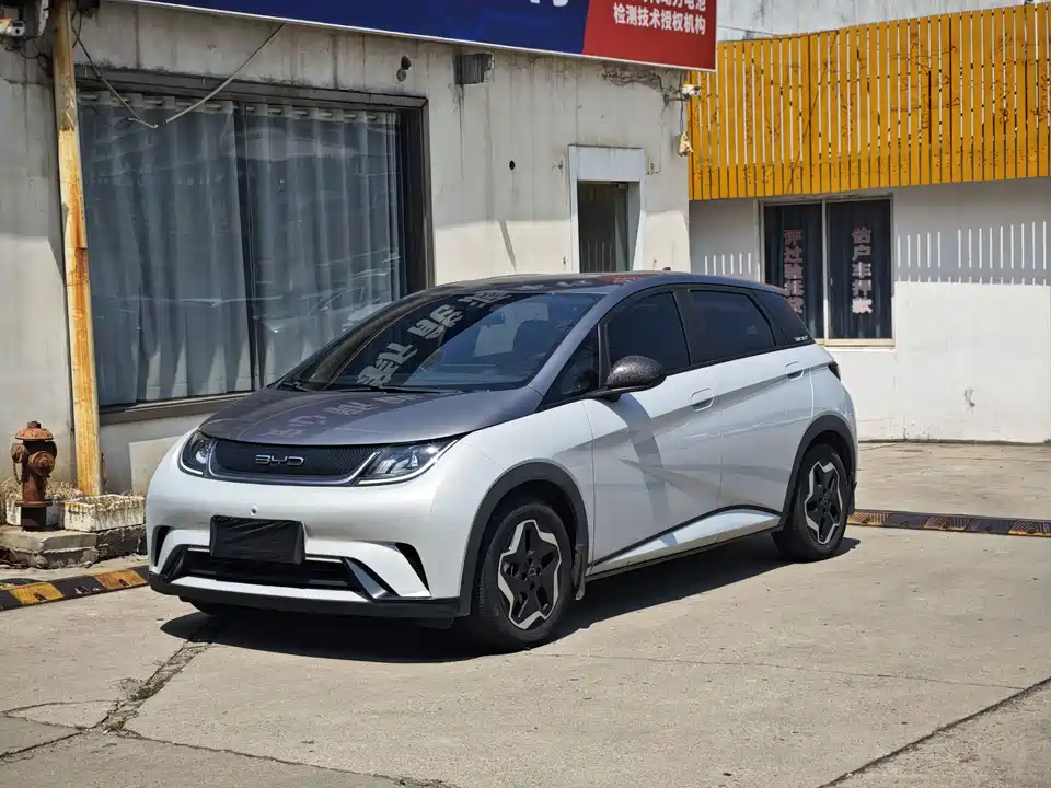 BYD dolphin