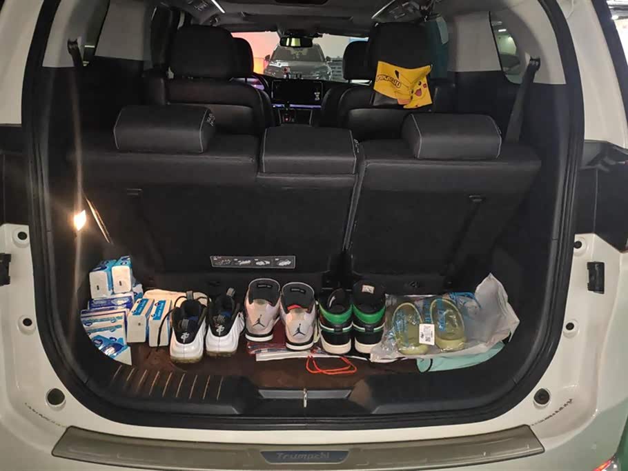 Trumpchi Trumpchi M8