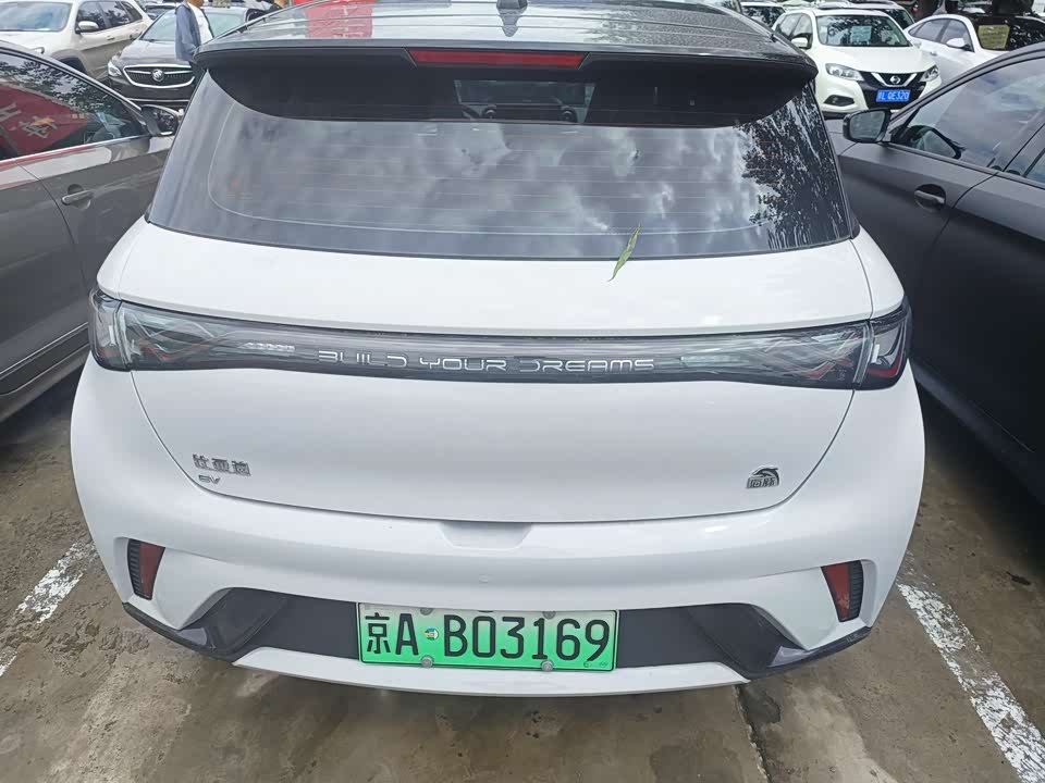 BYD dolphin