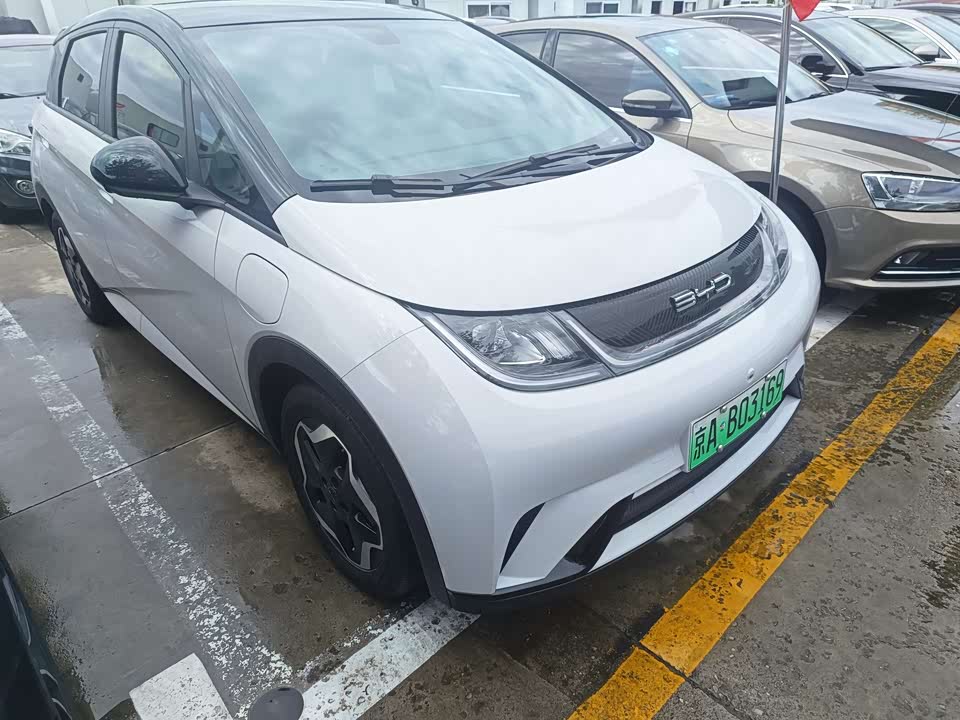 BYD dolphin