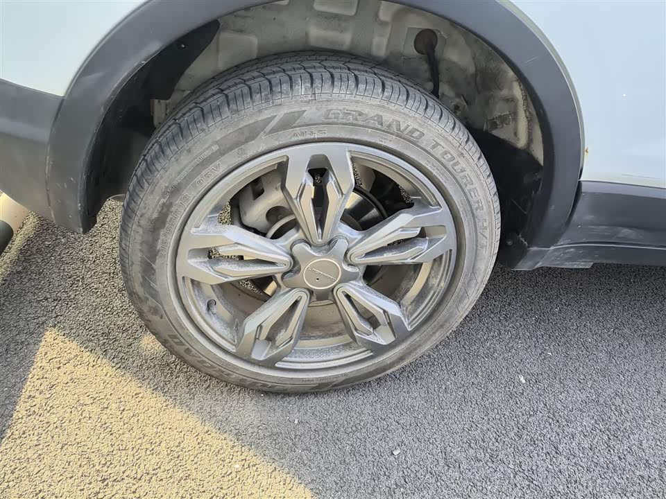 Leopaard Cheetah CS9